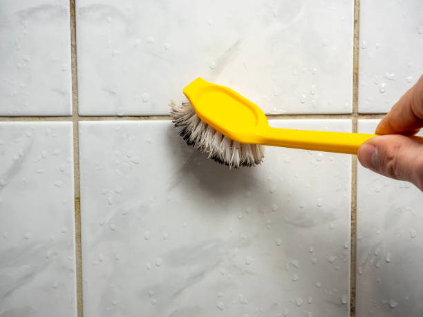 Mold Testing and Removal in Adamstown, PA