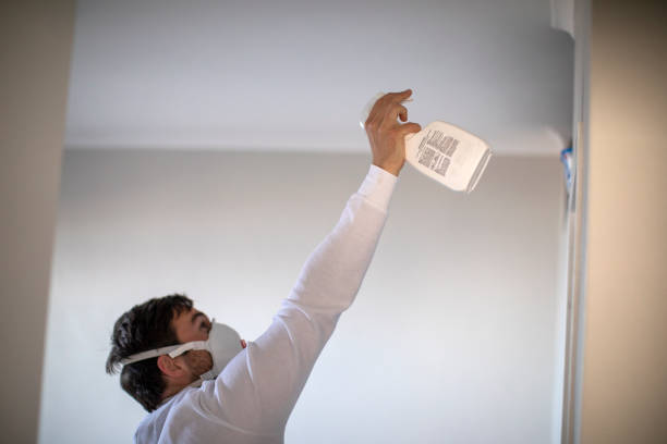 Best Mold Remediation Experts  in Adamstown, PA