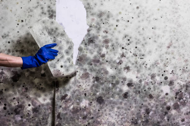 Water Damage Restoration in Adamstown, PA